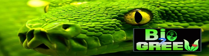 bio2Green snake bio2Green